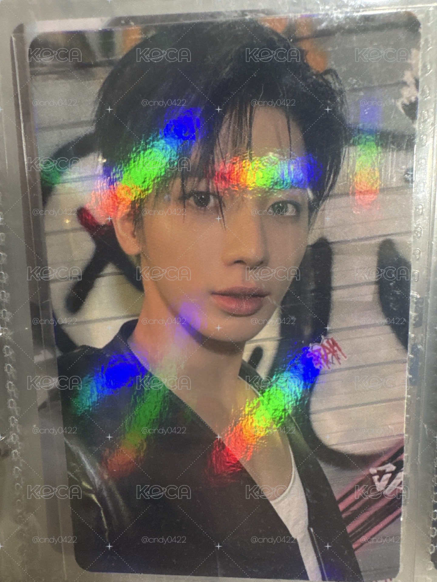 迷四 wvs 特典卡 