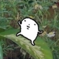 hh 購買前請看簡介