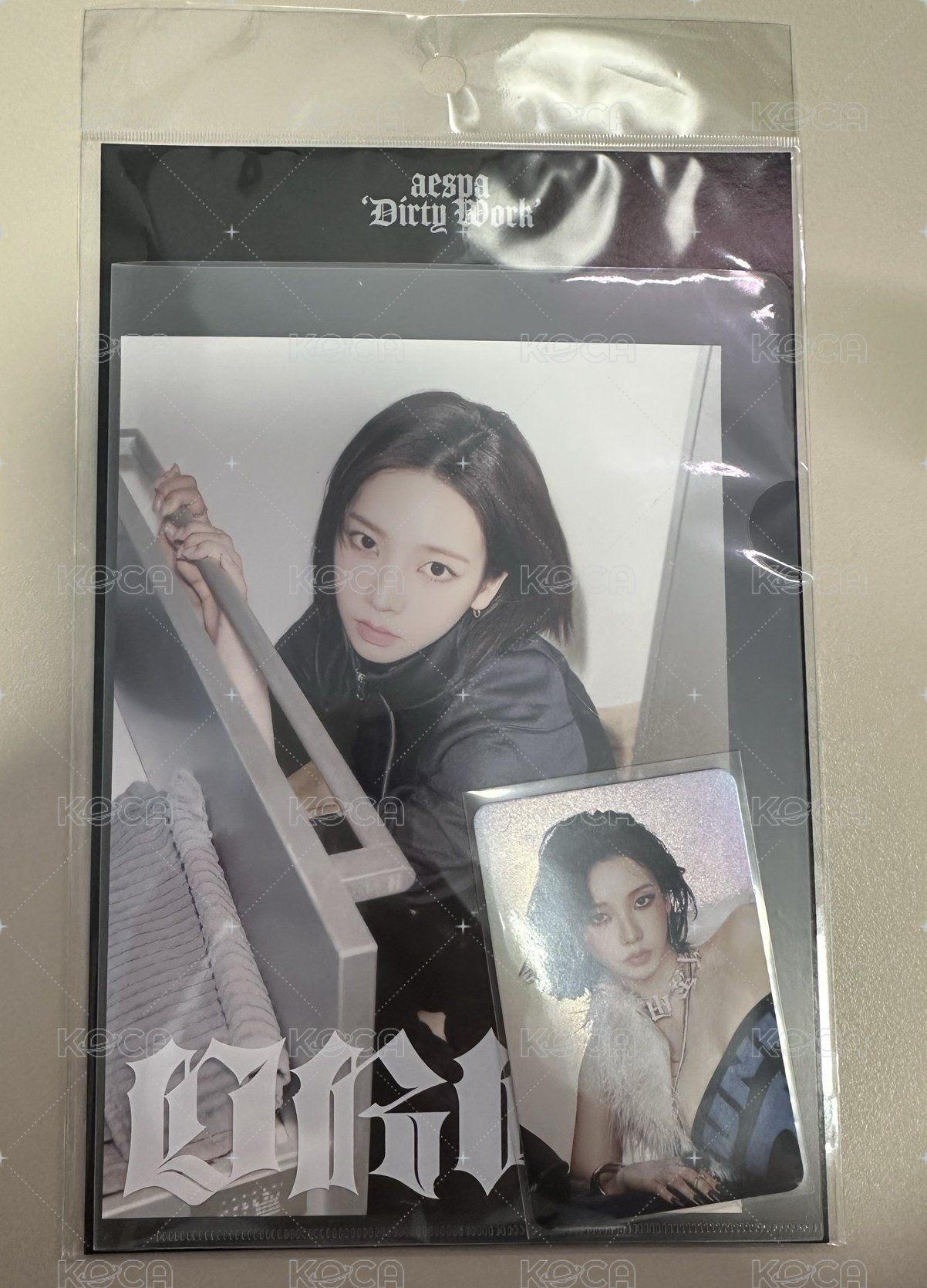 6.DW Karina明信片閃卡組