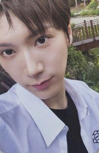 2026 Season's Greetings 隨機卡 