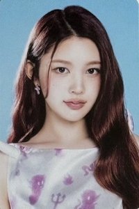 Focus 隨機卡 MD 1.0