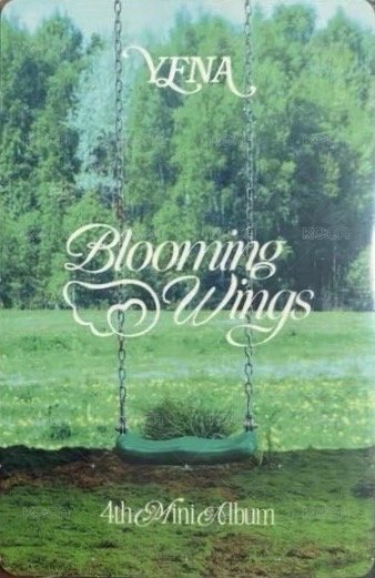 迷四 入場卡 / 場限卡 Showcase 背面