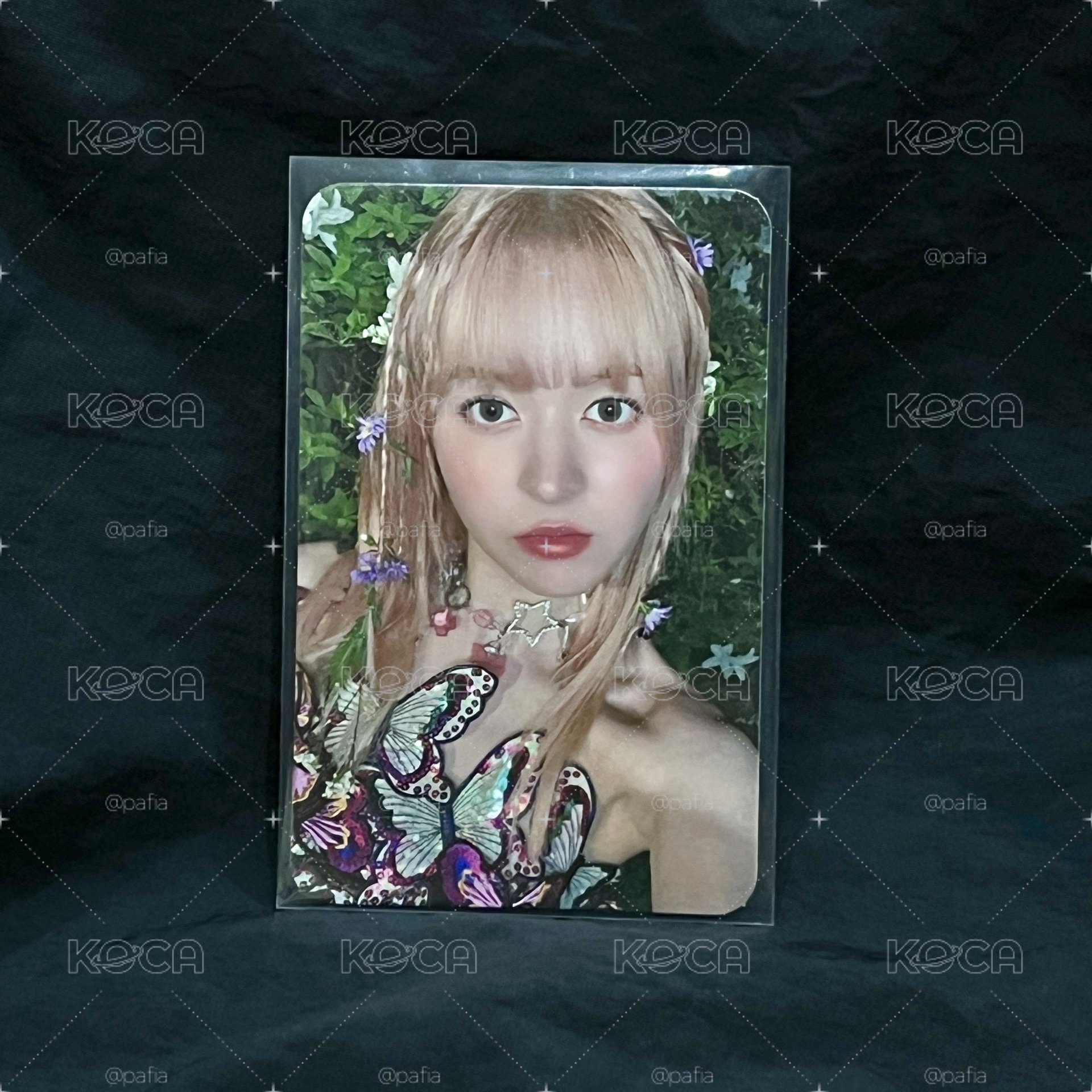 仲夏夜 JYP特典莉