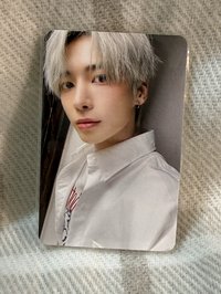 🍮布丁顯🐿️