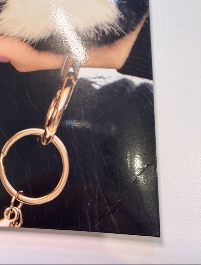 TWICE 專輯 十週年 特別專 專輯 mina 南