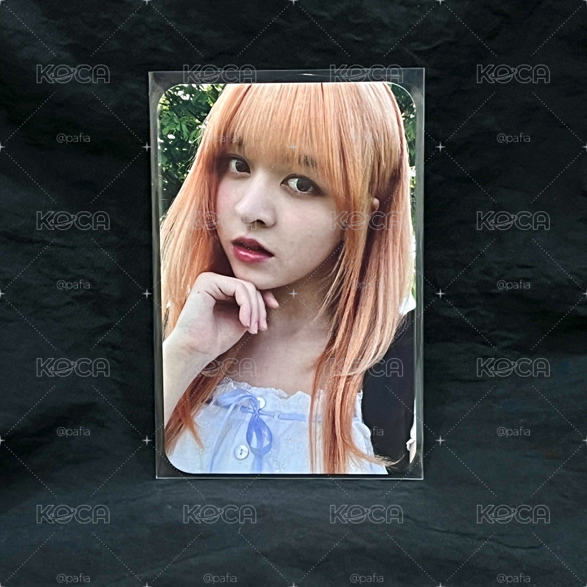 SW 莉
