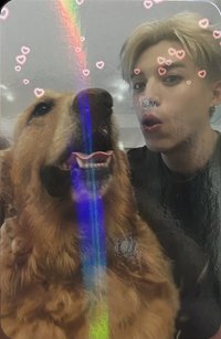 New Moon 精裝 專輯卡 