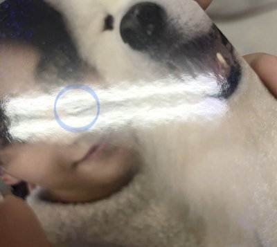 志薫單封特典卡