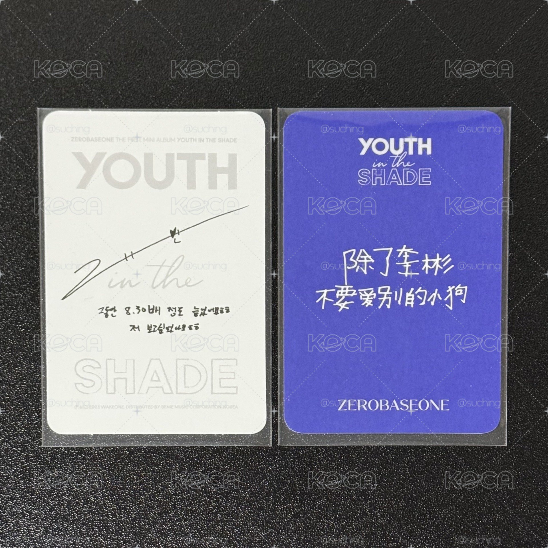 Youth In The Shade - GYUVIN