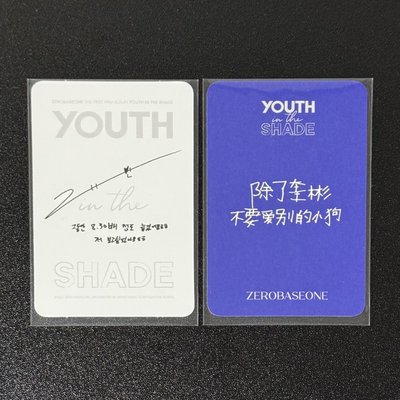 Youth In The Shade - GYUVIN