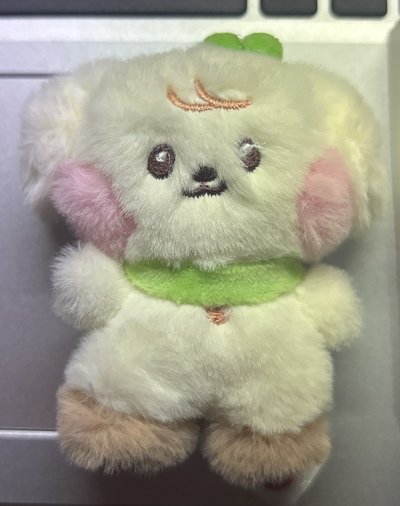 IVE SWITCH 安迷你娃