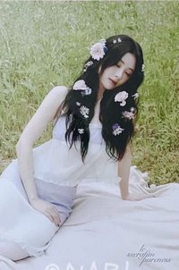 DICON N°14 明信片 補償明信片