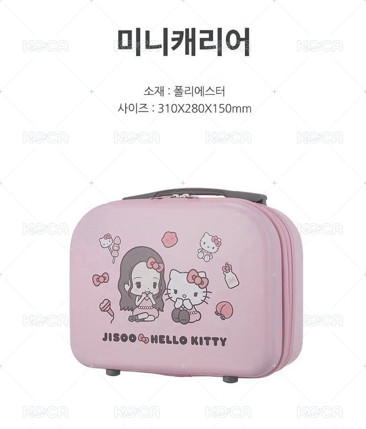 小型行李收納箱