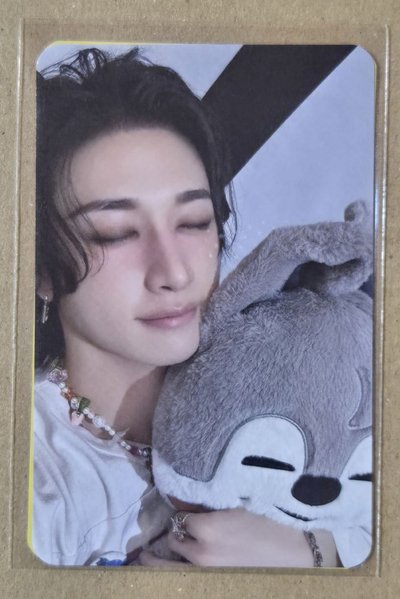 dominate 快閃滿額