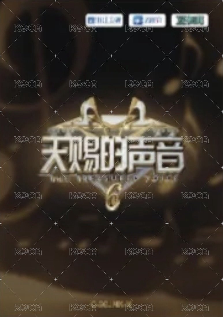 天賜 1.0 謐音包 C級卡 隨機卡 聲光紀念卡 背面