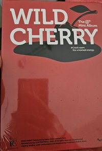 迷你4輯WILD CHERRY 專輯 