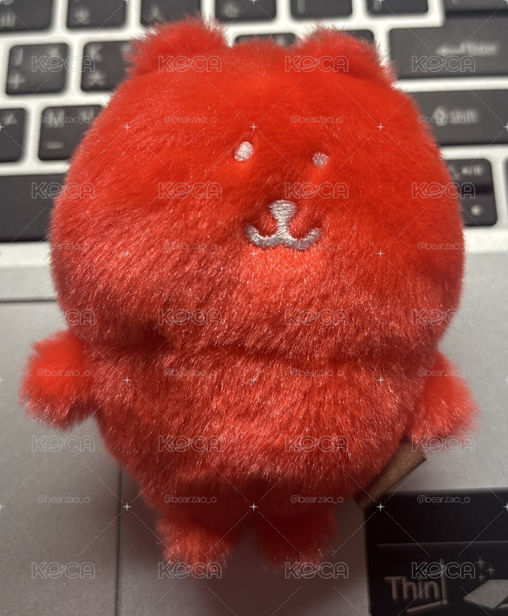 自嘲熊 橘紅色彩虹熊