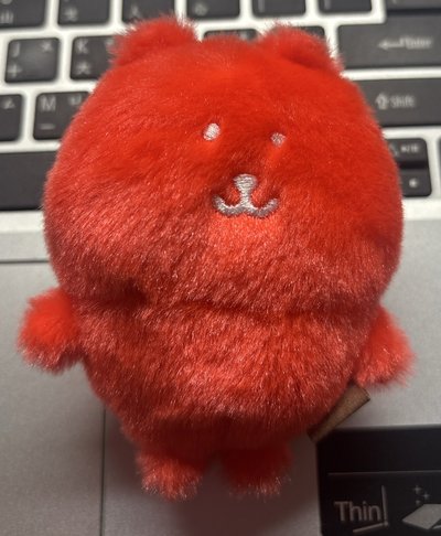 自嘲熊 橘紅色彩虹熊