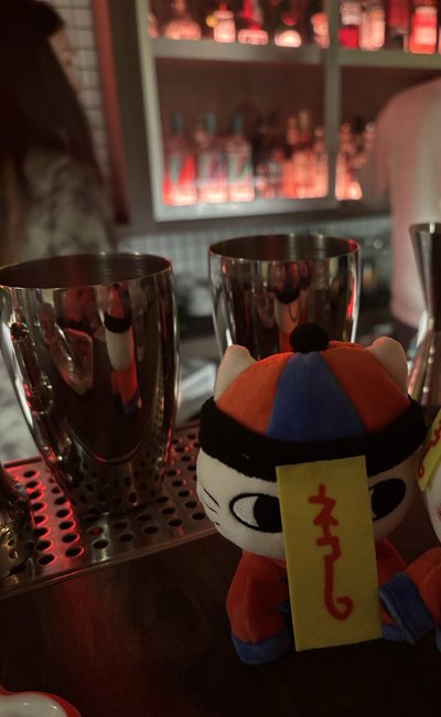 自嘲熊 殭屍貓娃娃