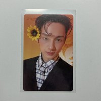 精選專 貌美如花