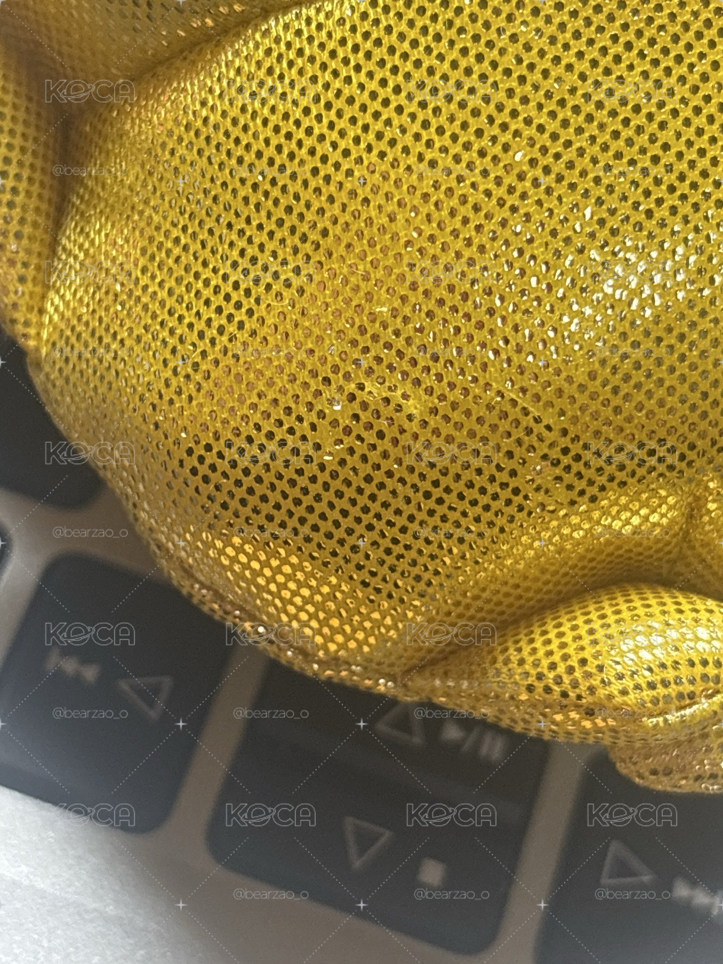 自嘲熊 黃金熊