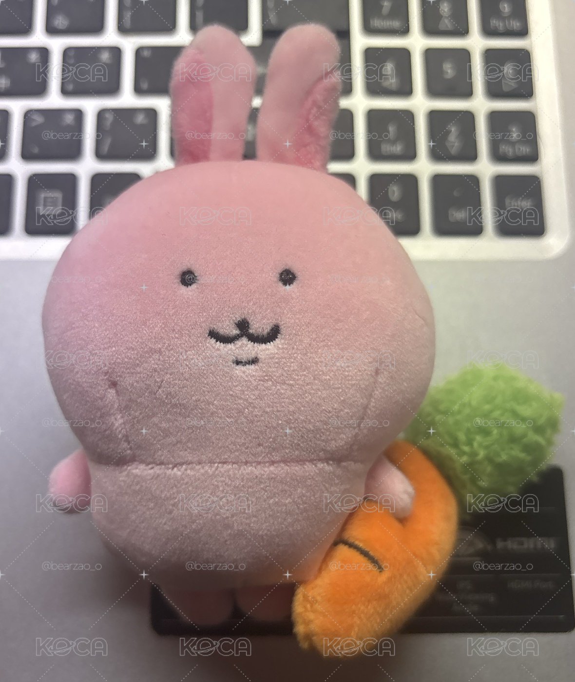 自嘲熊 小兔子娃