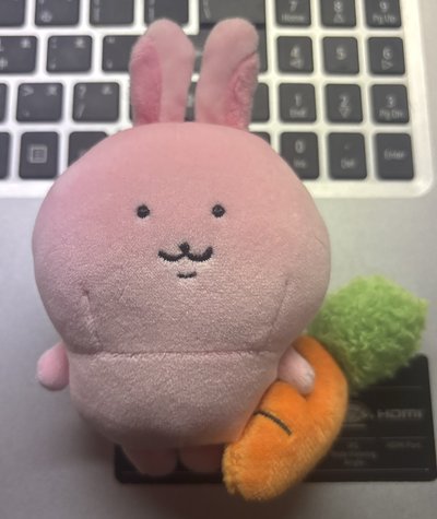 自嘲熊 小兔子娃