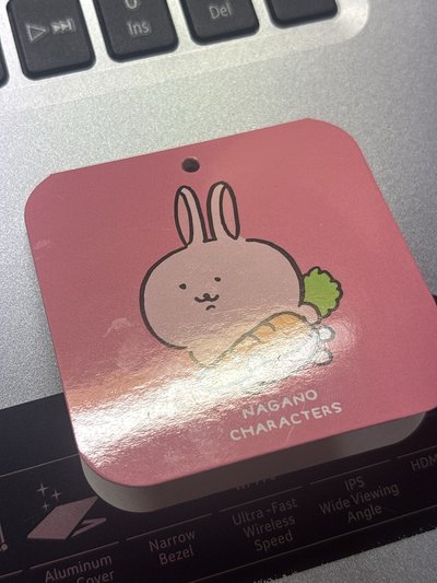 自嘲熊 小兔子娃