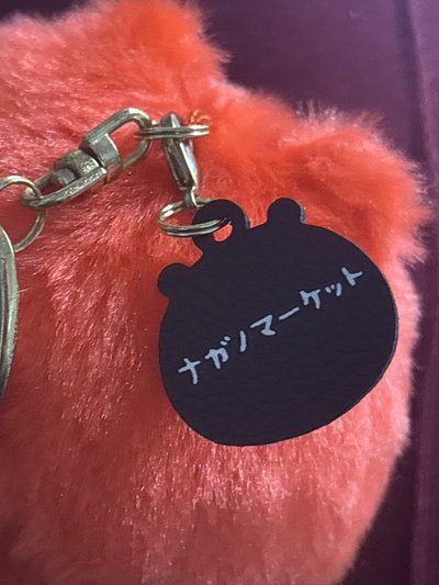 自嘲熊 橘紅色彩虹熊