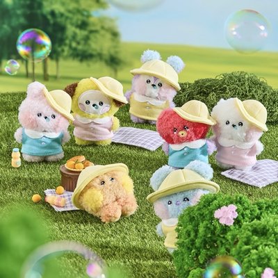 BT21野餐娃娃 盒娃