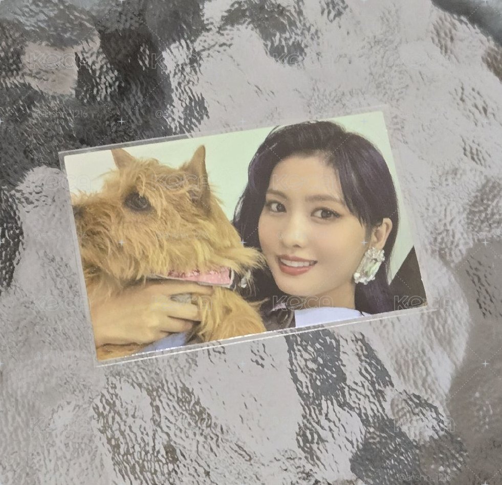MOMO&BOO（損）