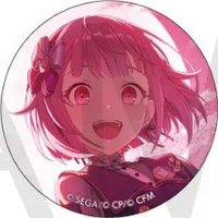 細閃 vol.46 A 徽章 成敗花後