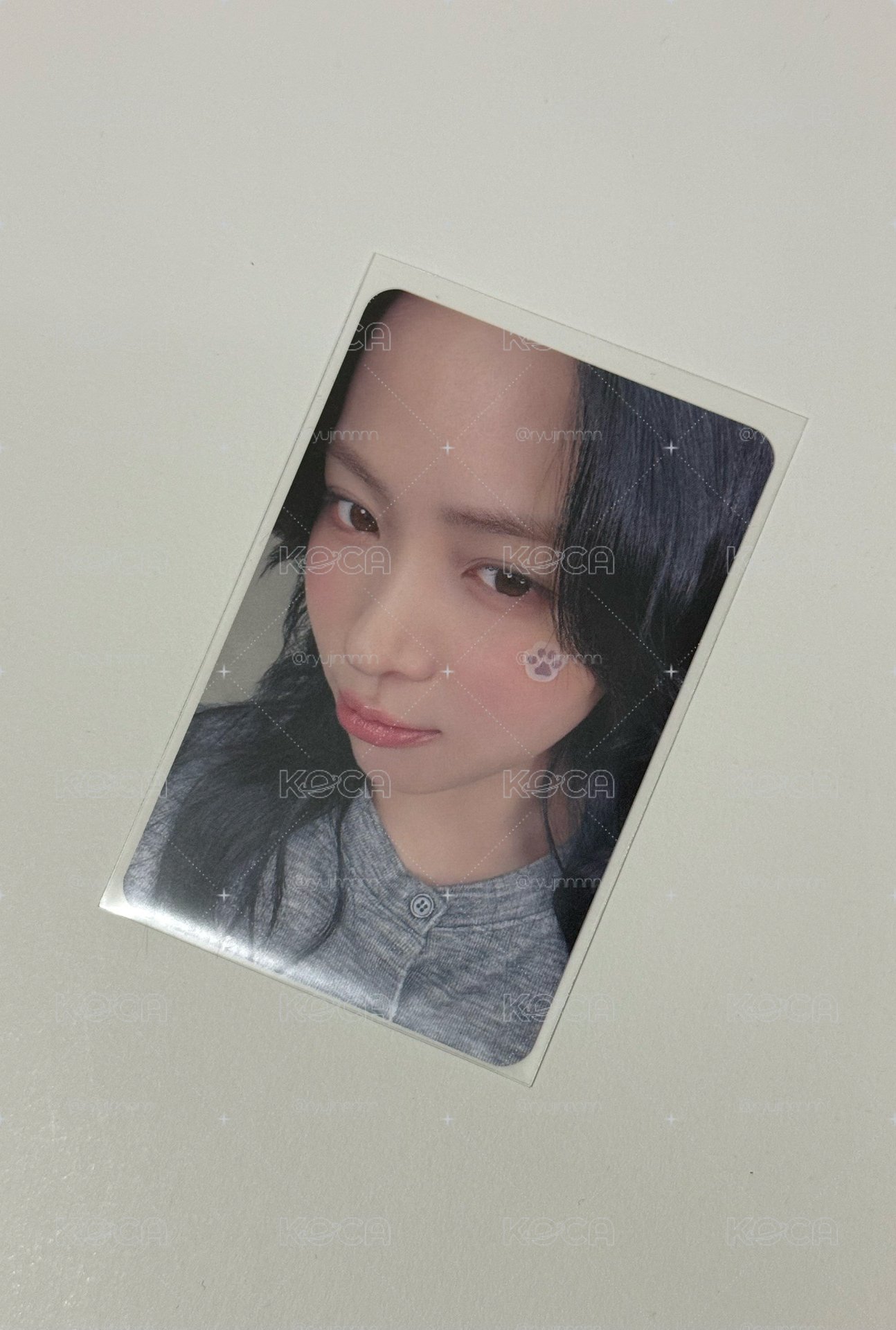 TNVS ms 小貓貼貼留