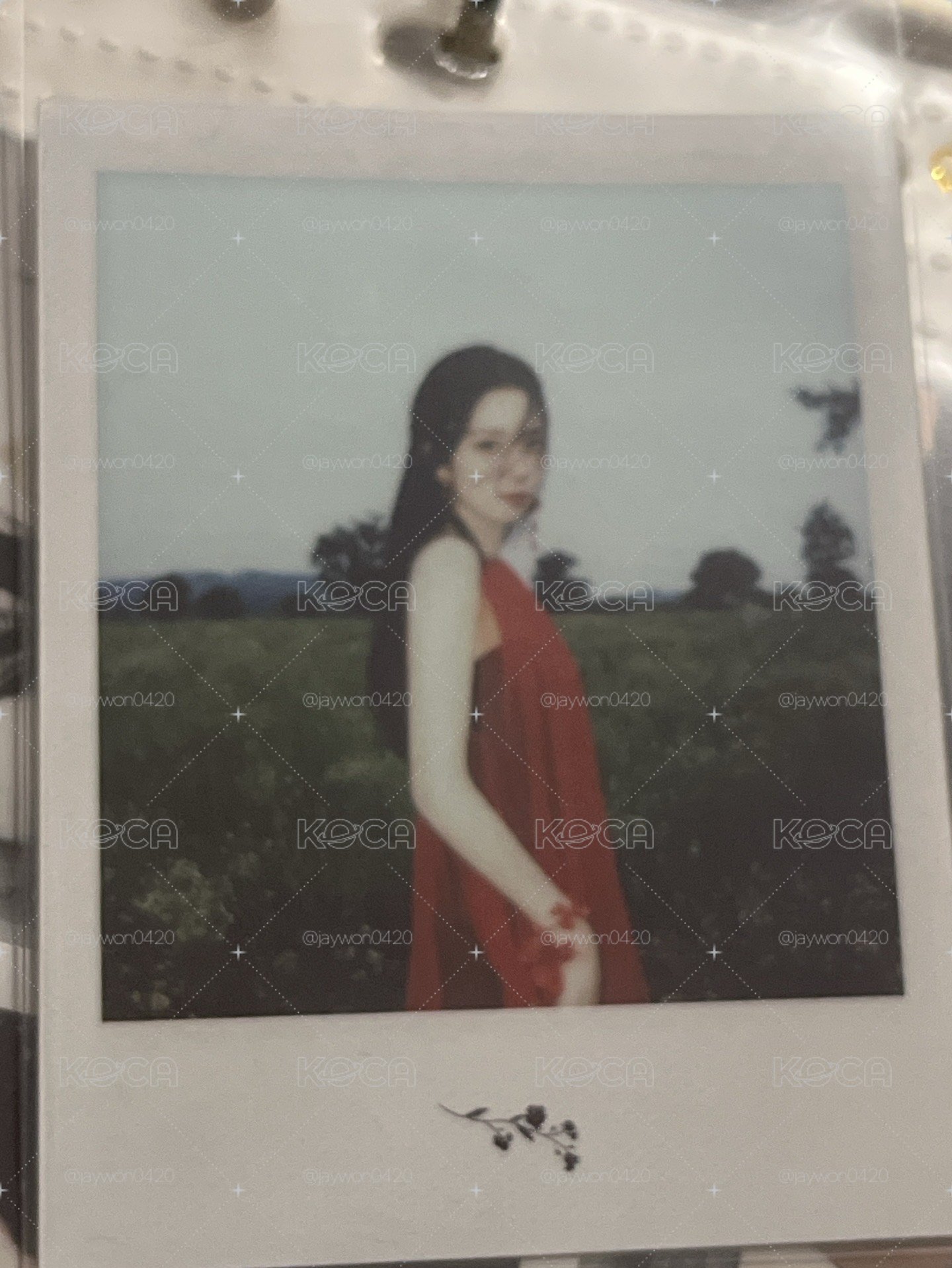 秀拍立得