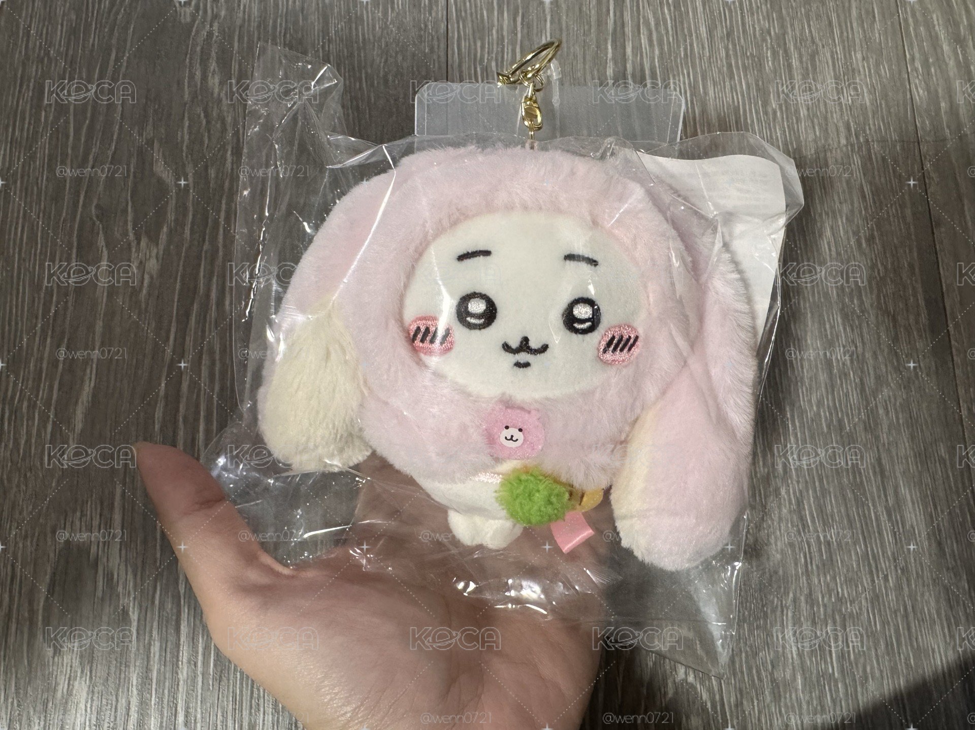 ‼️現貨‼️（台灣限定）垂耳吉伊