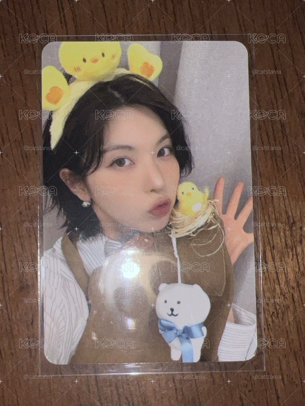 NMIXX bae am咖啡聽 動物