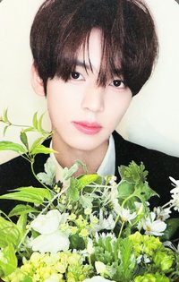 [𝐑𝐄-𝐅𝐋𝐎𝐖] 專輯卡 