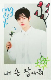 [𝐑𝐄-𝐅𝐋𝐎𝐖] 拍立得 專輯卡 