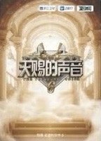 天賜 2.0 溯音包 驚喜 定格時刻卡 抽選卡 66編 背面