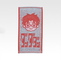 壓倒性的怪奇、強襲～ G賞 毛巾 