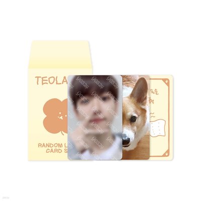 伯賢特來騎隨機卡（預購）