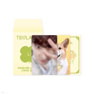 伯賢特來騎隨機卡（預購）