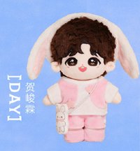三專 4.0 娃娃玩偶 賀峻霖DAY款