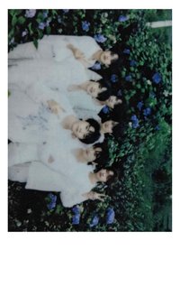 春日記憶 周邊卡 團卡