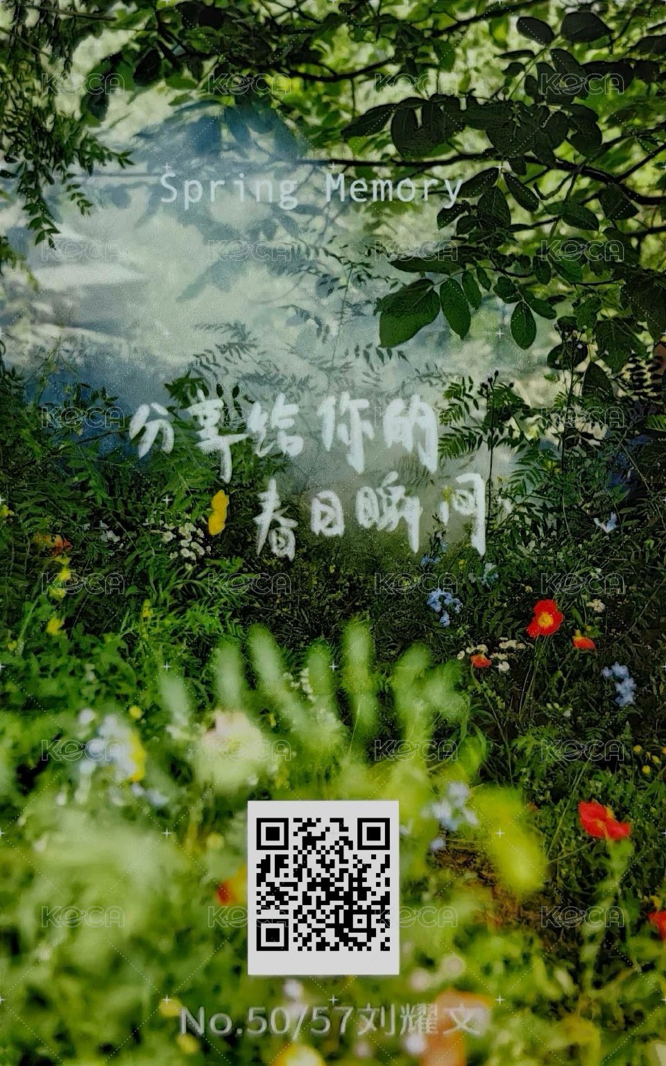 春日記憶 周邊卡 4團固 背面