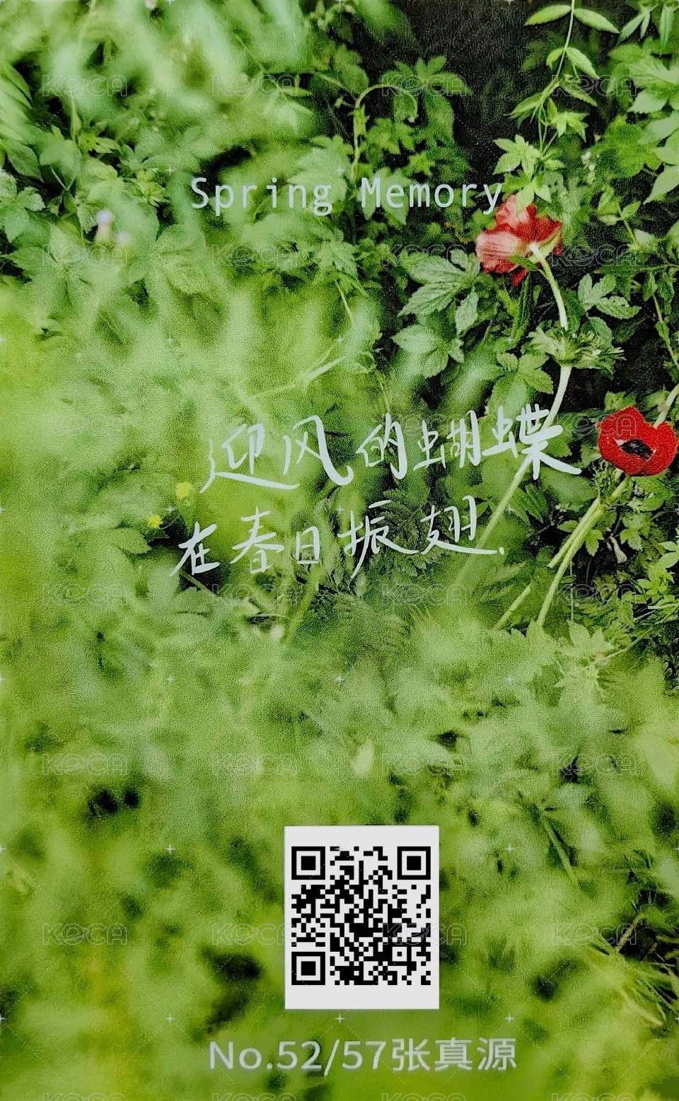 春日記憶 周邊卡 5團固 背面