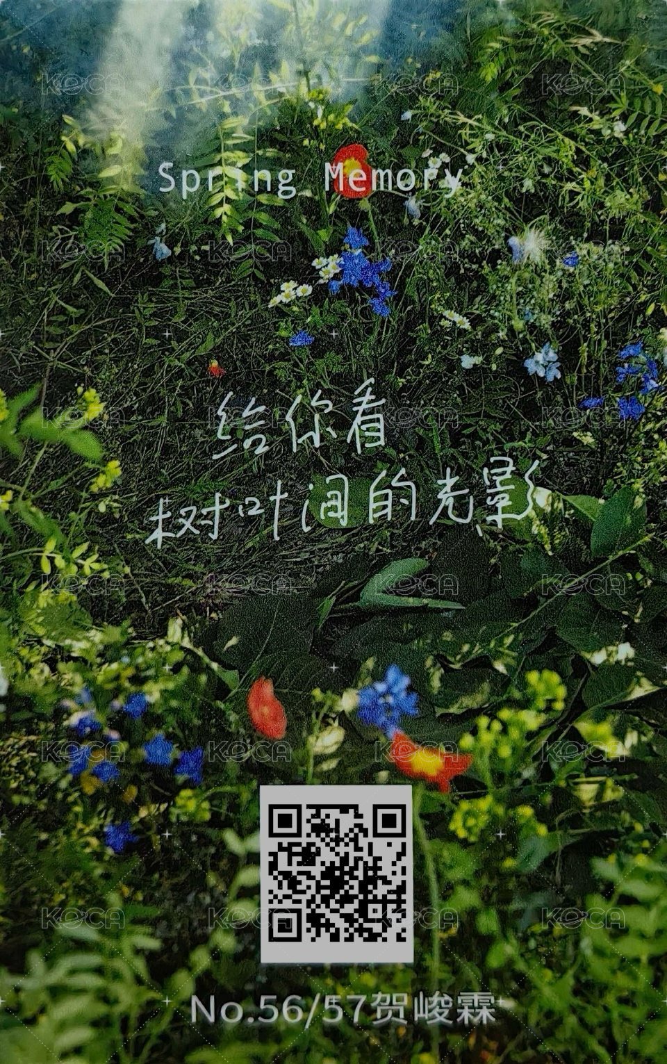 春日記憶 周邊卡 7團固 背面