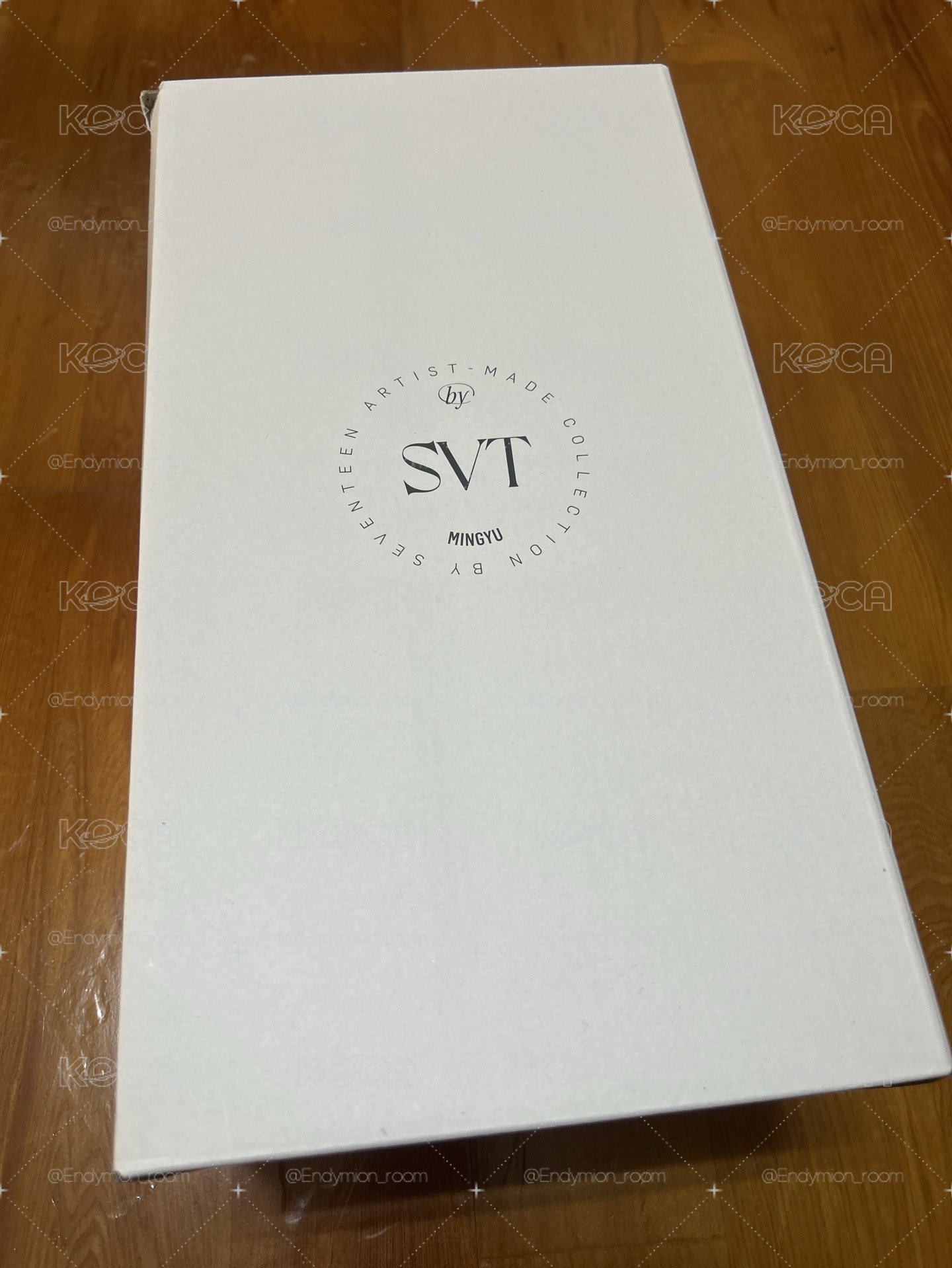 seventeen 玟奎 泡麵鍋 成員自製週邊 含線下明信片🤍