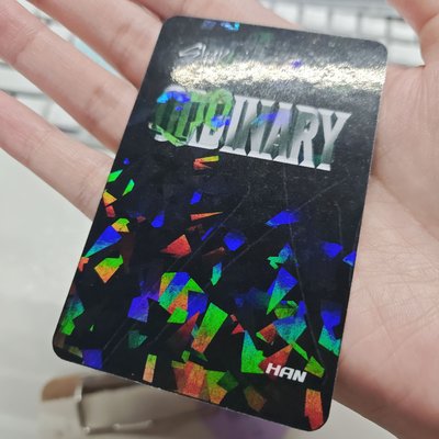 Stray Kids 知城 ODDINARY 特典