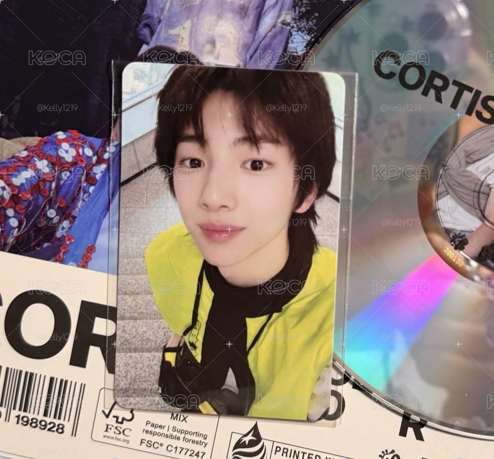 cortis ma金主訓